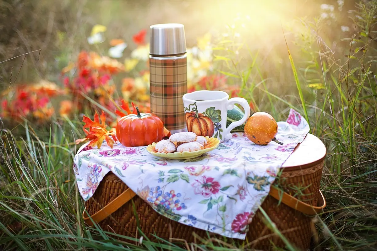 An Autumn Checklist for Making Your Home Feel Warmer Without Turning Up the Heating